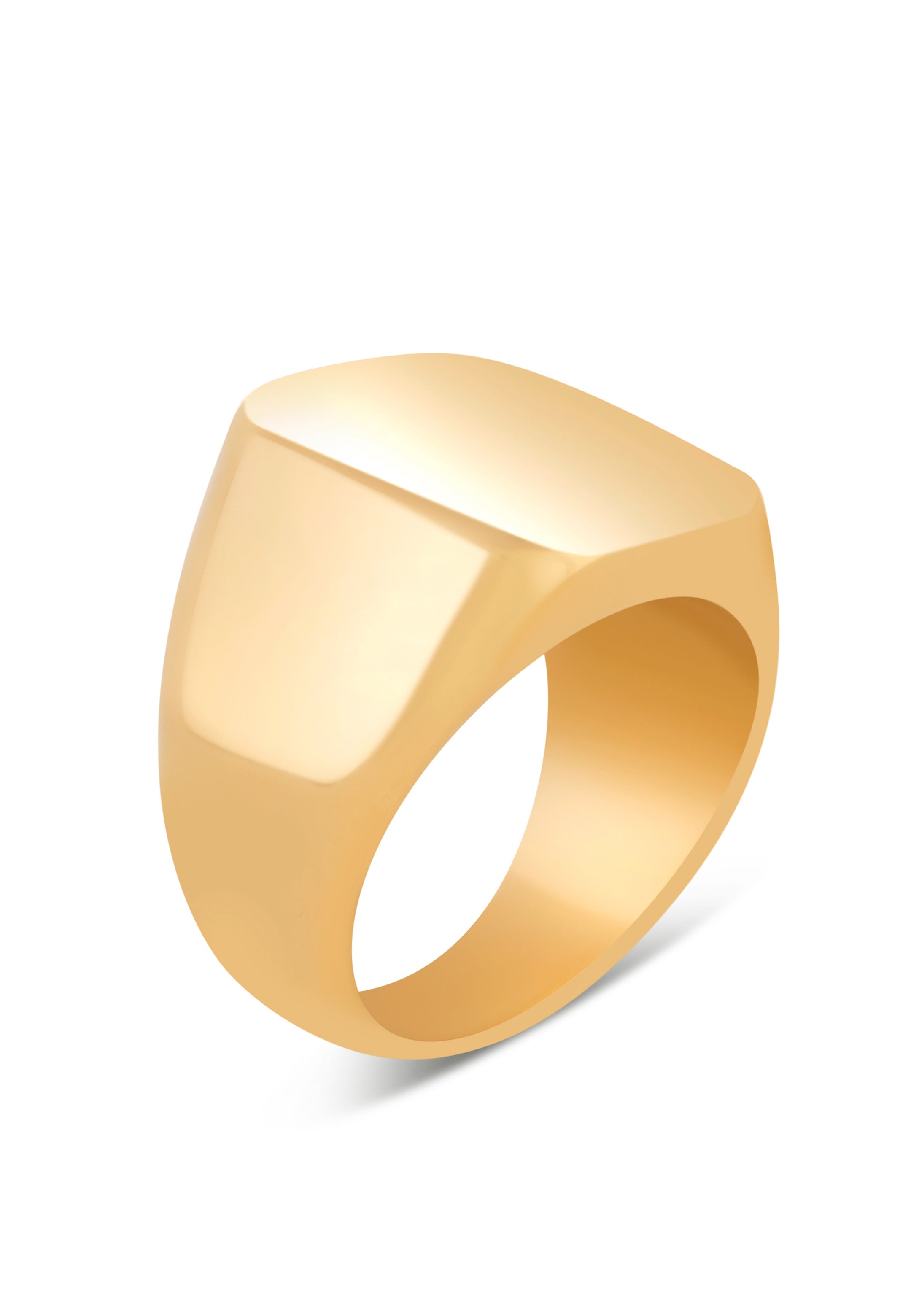 Akitsune-Iustitia-Signet-Ring-Gold-Up
