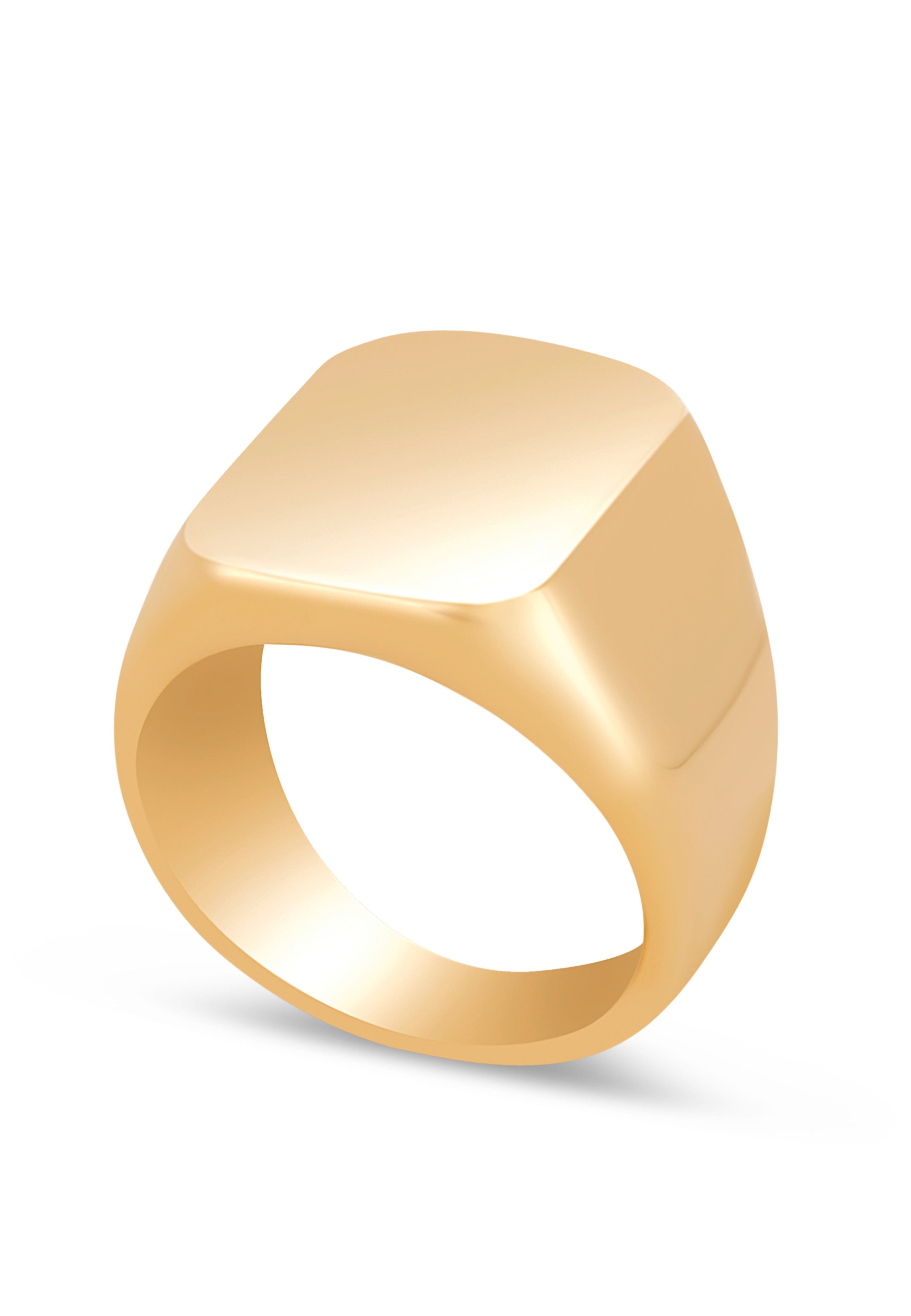 Akitsune-Iustitia-Signet-Ring-Gold
