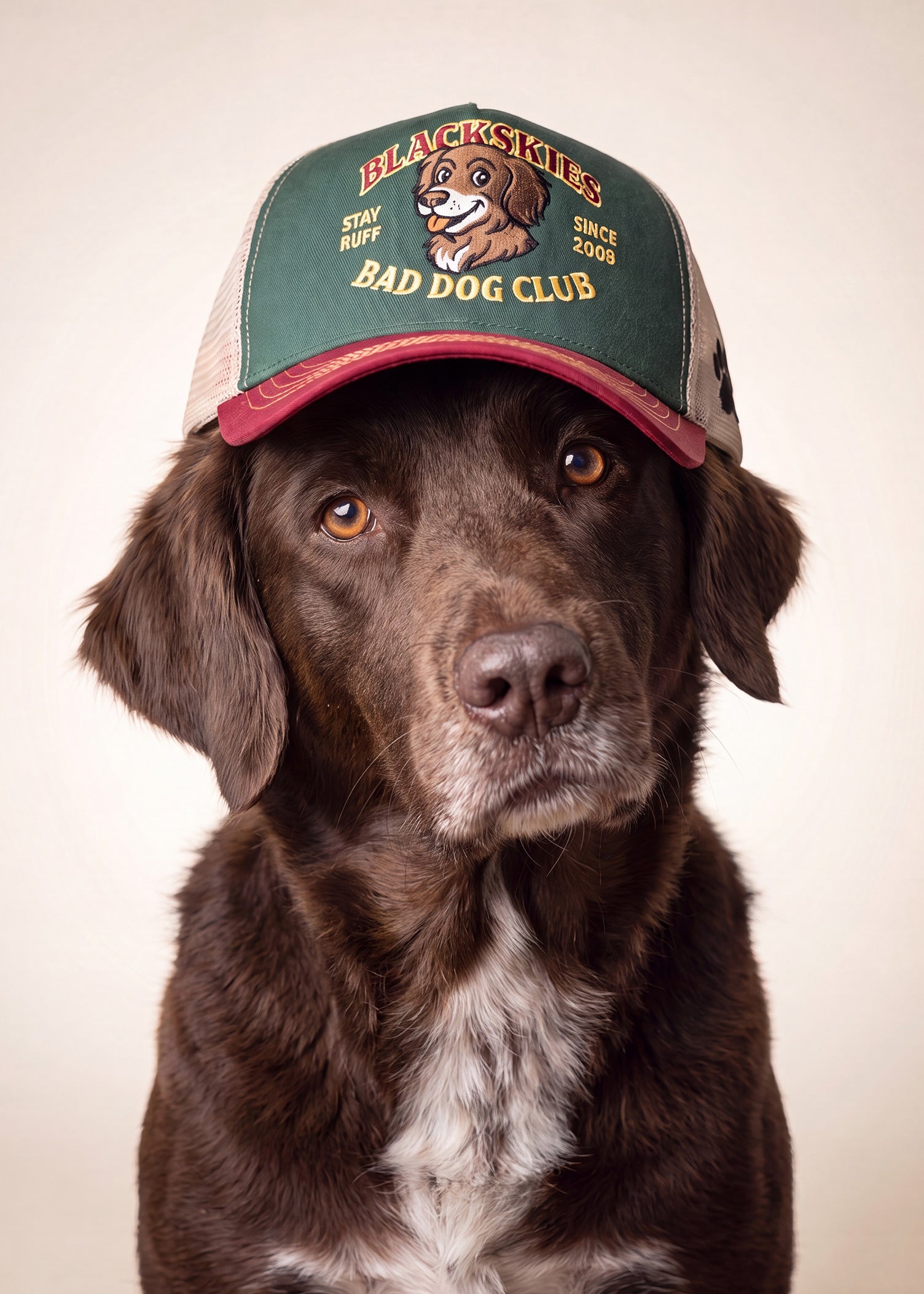 Gorra Trucker Bad Dog