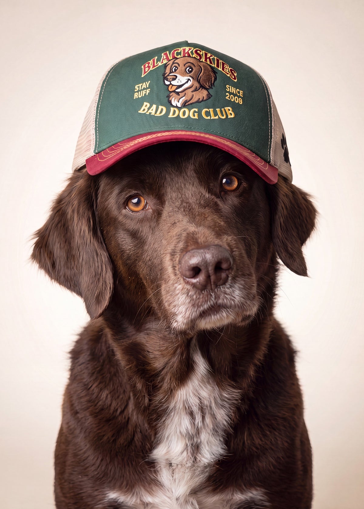 A brown dog wearing a green and beige trucker hat with 'Blackskies Bad Dog Club' embroidered on the front, photographed against a plain light beige background.