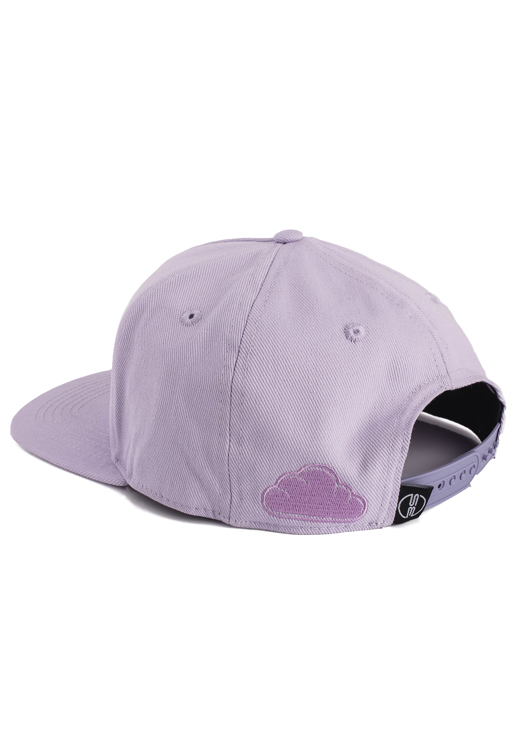 Blackskies-Oasis-Snapback-Cap-Lilac-Mint-Basecap-Hat-Back