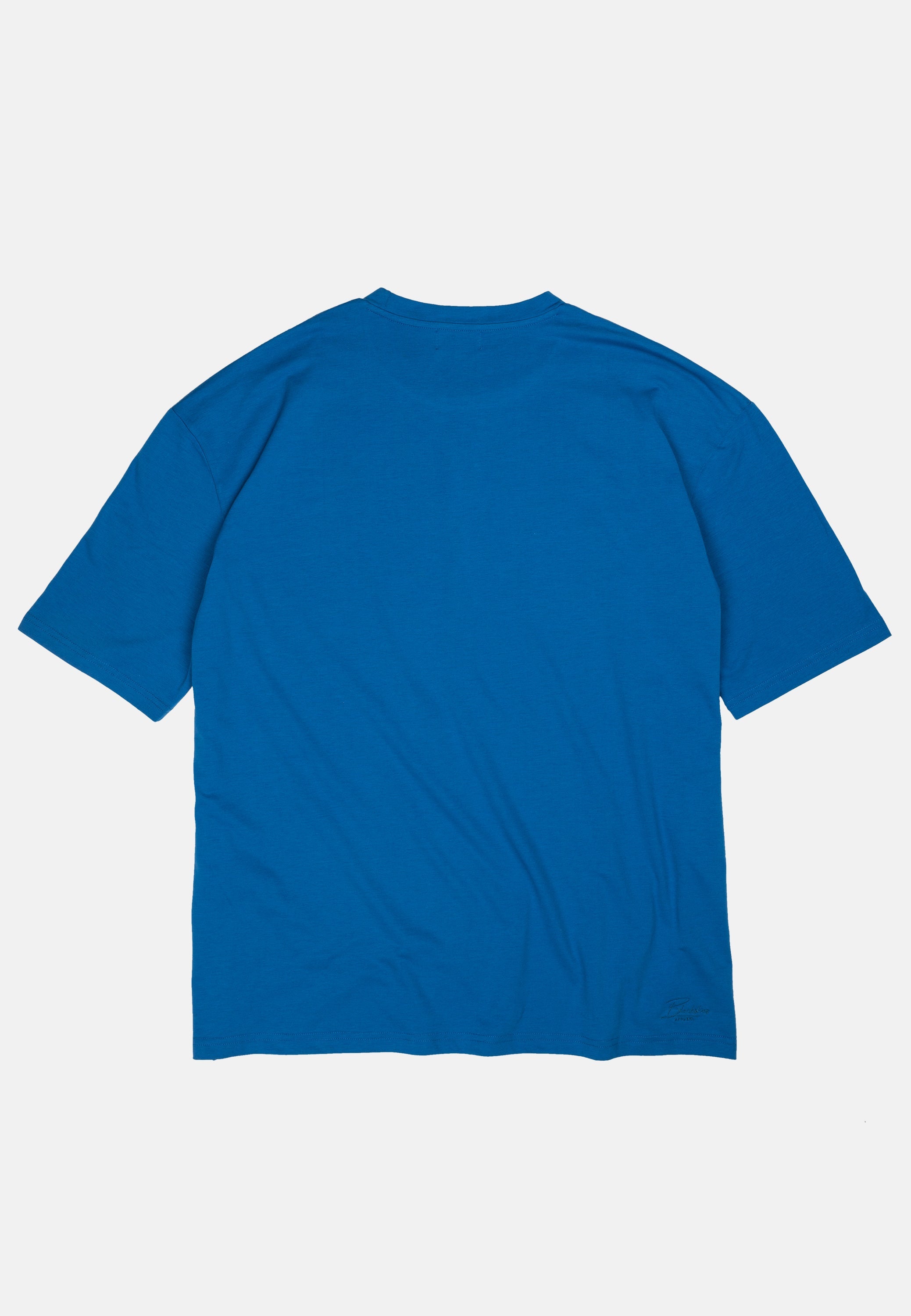 Blackskies-Oversized-T-Shirt-Blue-Men-Model-3