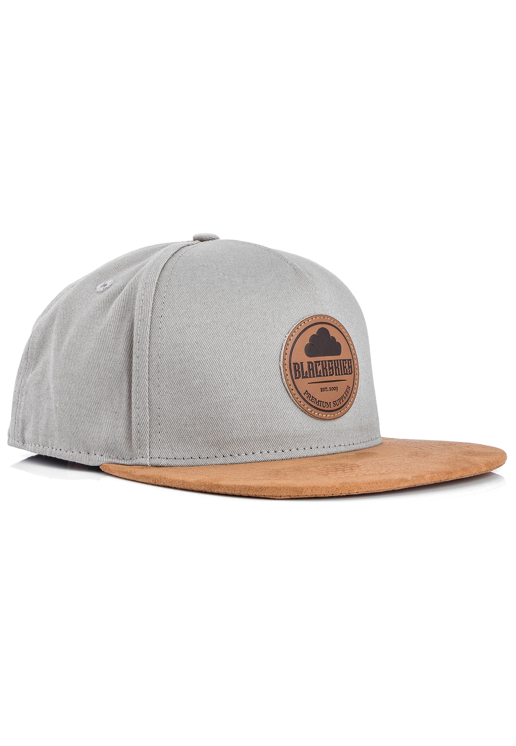 Blackskies-Pathfinder-Snapback-Cap-Grey-Beige-Side